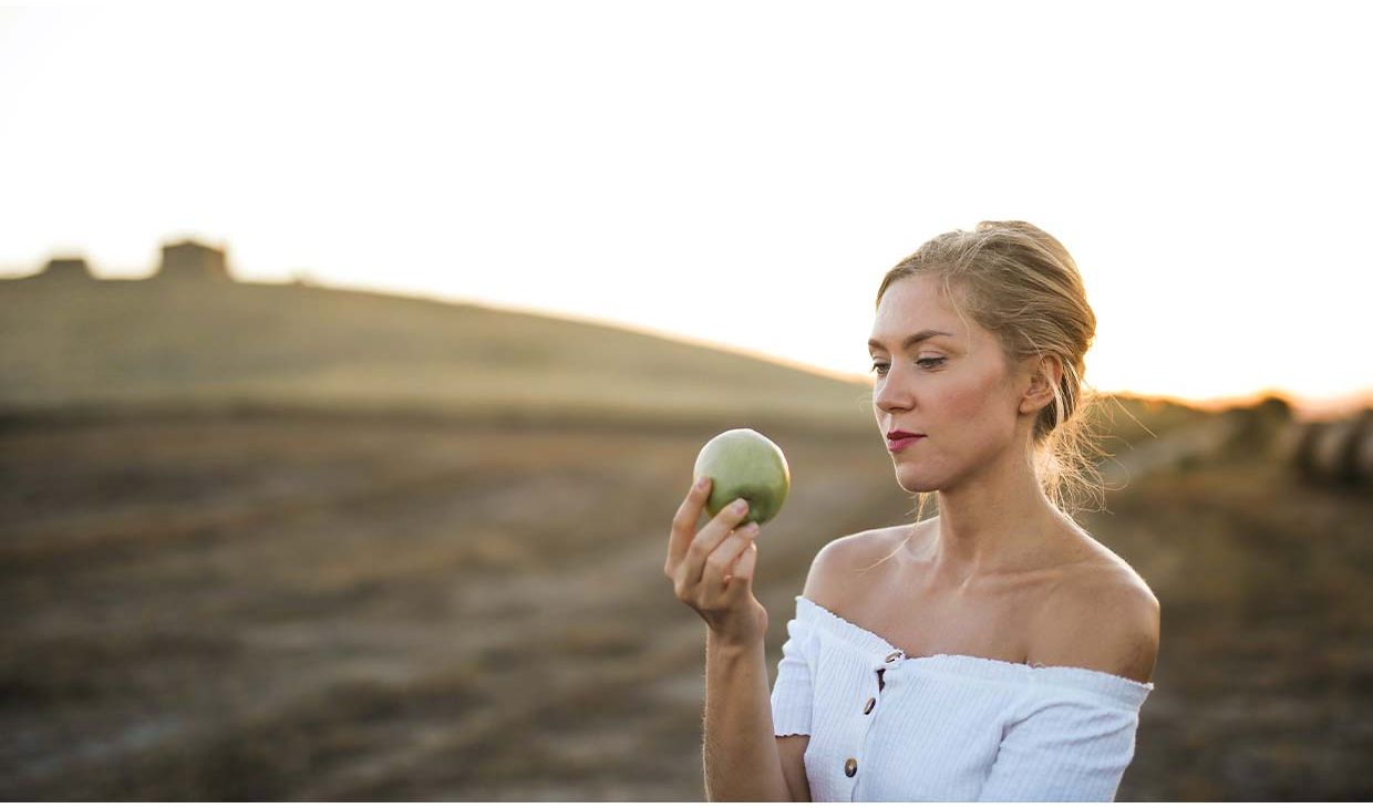 Sauvignon Blanc Touraine Val de Loire