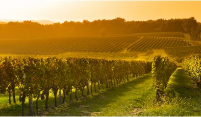 L’ Enclos de Saint-Jacques Bordeaux 