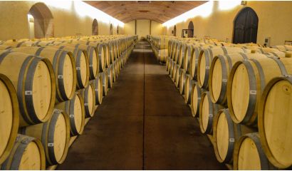 Caití Cabernet Sauvignon Reserva Maipo