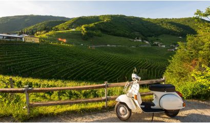 Isabelle de Castel Prosecco