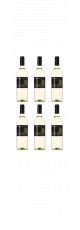 Aanbieding Grüner Veltliner Familie Burgenland
