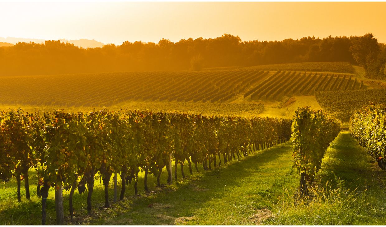 L’ Enclos de Saint-Jacques Bordeaux 