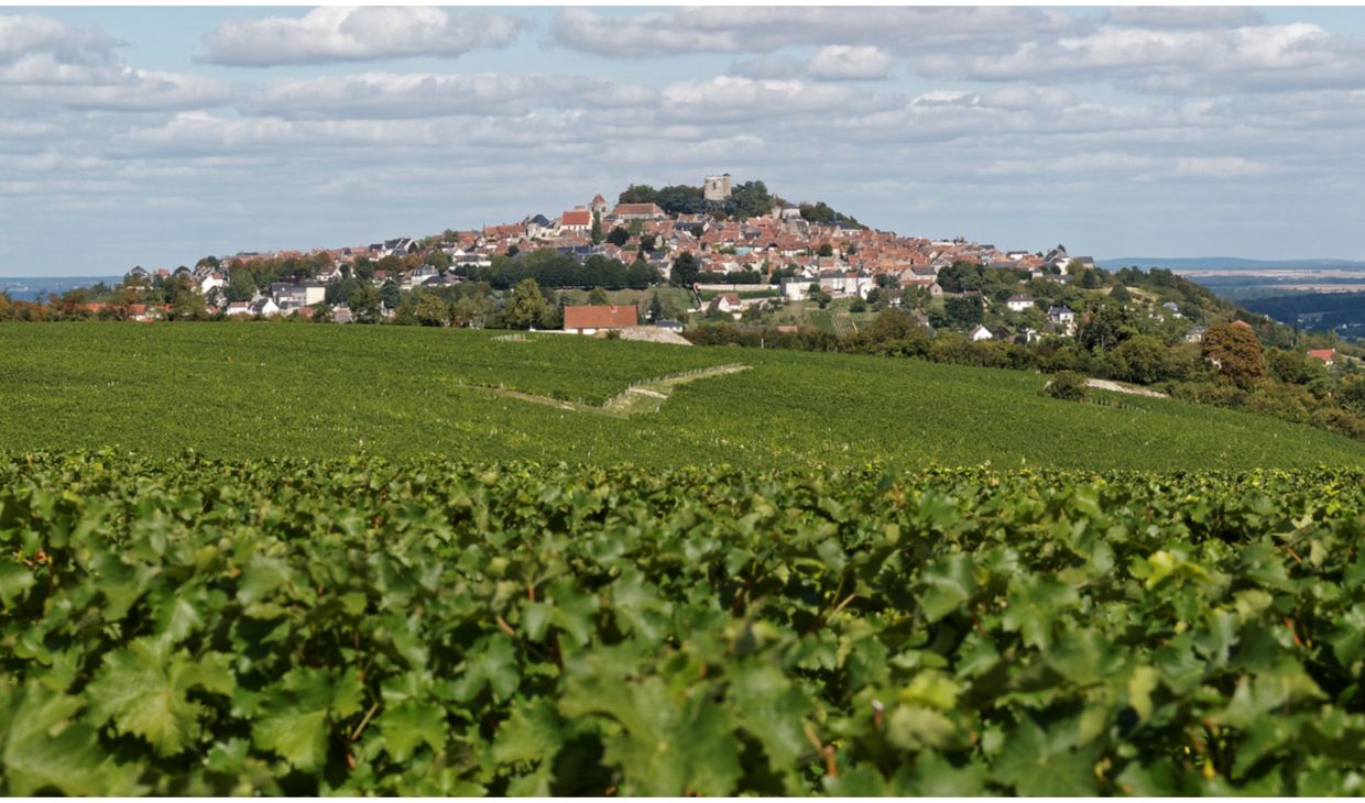Reverdy-Cadet Sancerre