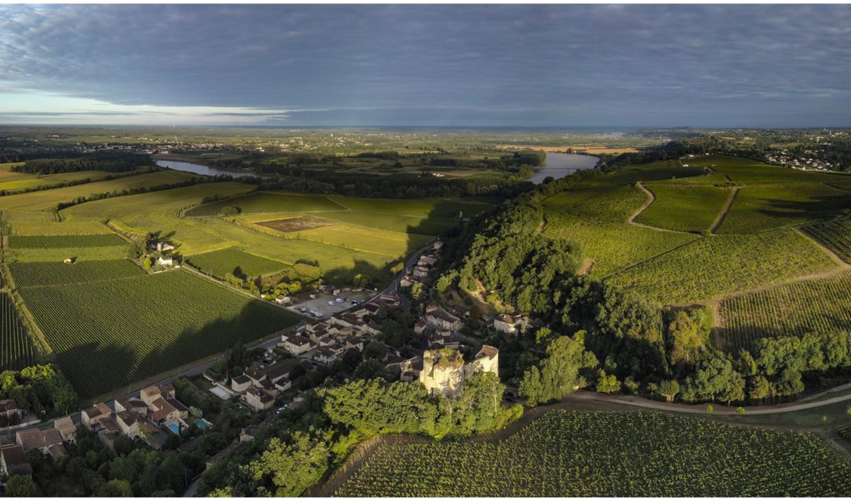  Château Nicot Entre-Deux-Mers