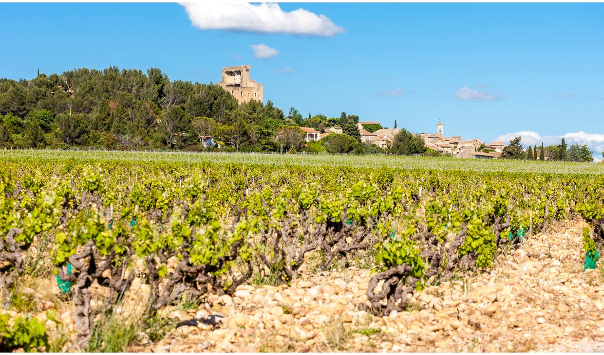 Domaine du Galet des Papes Châteauneuf-du-Pape