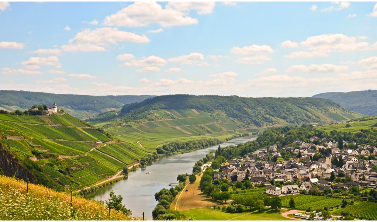 Albiger Hundskopf Riesling Auslese 