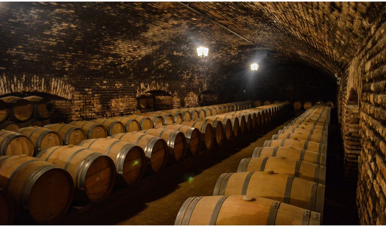 Caití Carménère Grand Reserva Colchagua