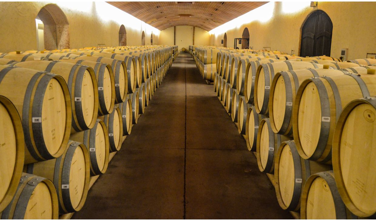 Caití Cabernet Sauvignon Reserva Maipo
