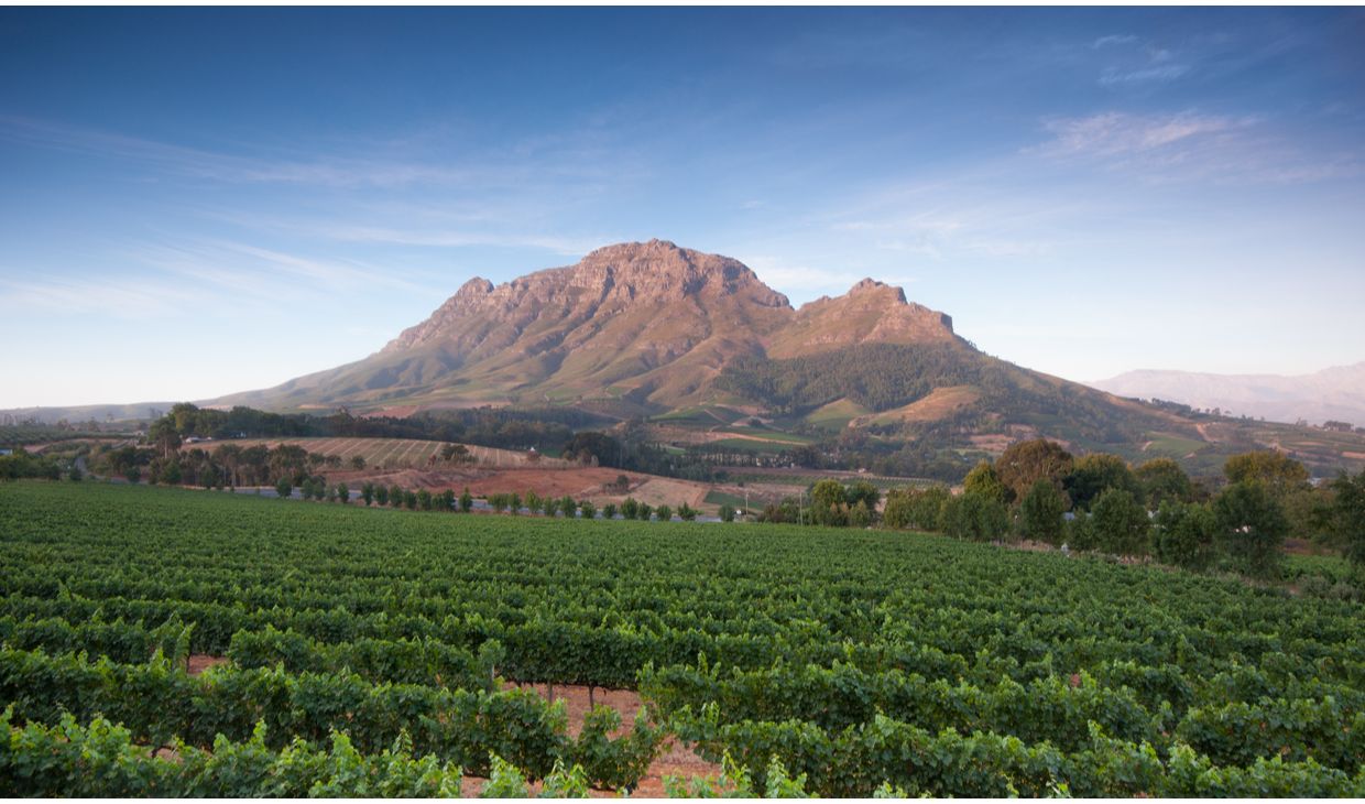 Avondrood Viognier